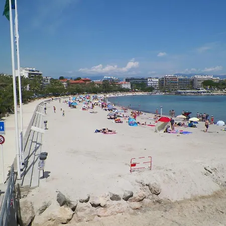 Holiday Belvedere